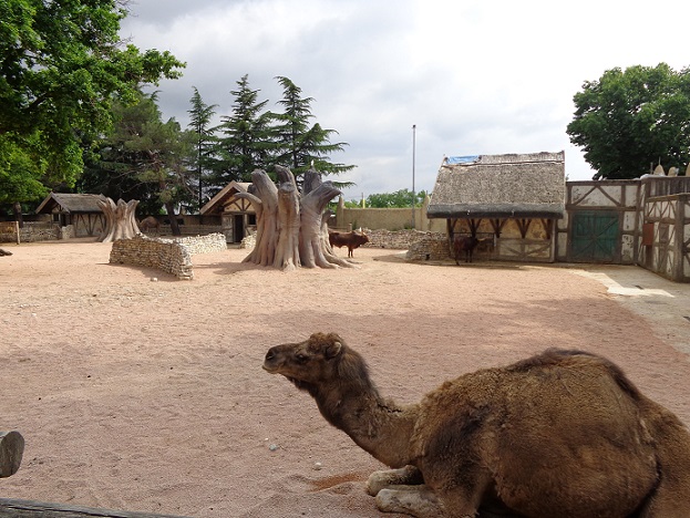 зоопарк в турине