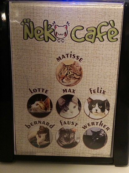 кошачье кафе